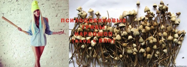 каннабис Заводоуковск